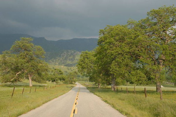 DSC 0037