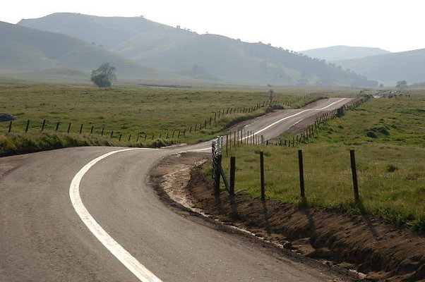 DSC 0003