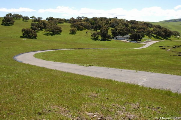DSC 5639