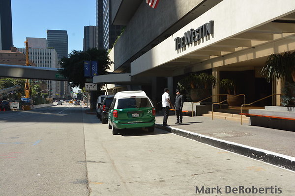 01 Bonaventure Flower